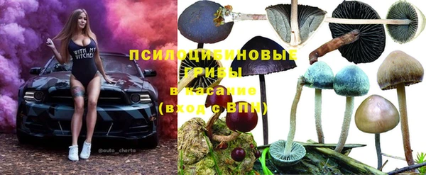 сатива Армянск