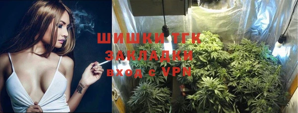 сатива Армянск
