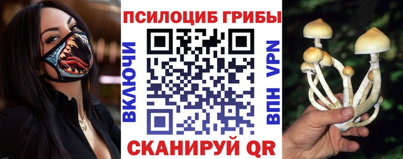 Галлюциногенные грибы MAGIC MUSHROOMS  купить наркотик  kraken зеркало  Приморск 