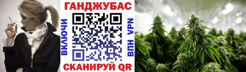 наркотики  MEGA ссылка  Каннабис Amnesia  Приморск 